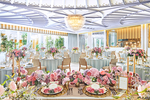 ラピスコライユの画像