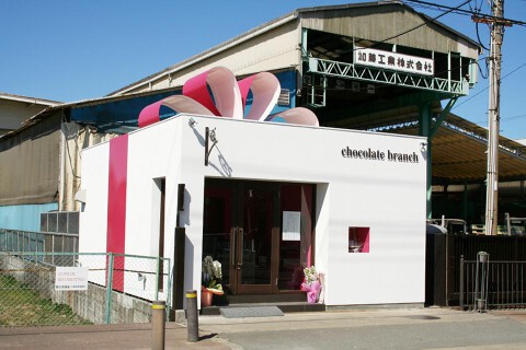 chocolate branchの画像