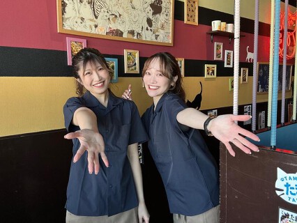 居酒屋たま 北3条店の画像