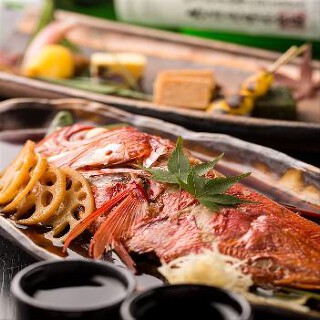 魚魚魚の画像