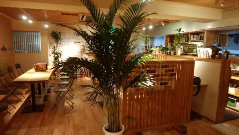 奈綸の店の画像