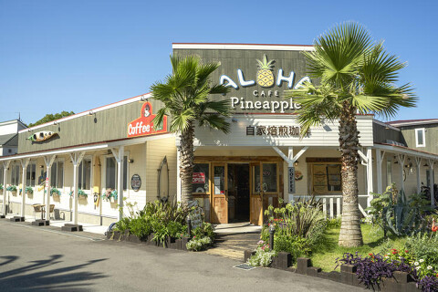 ALOHA CAFE Pineapple 宝塚店の画像