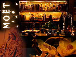 salon en veloursの画像