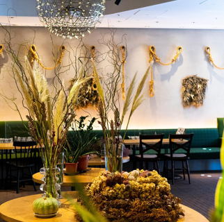 tsuchi 農園野菜とチーズ料理の画像