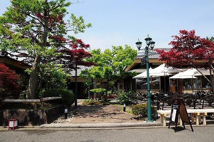 AMRITの画像