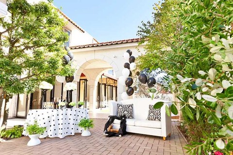 プラザ・アリアの画像