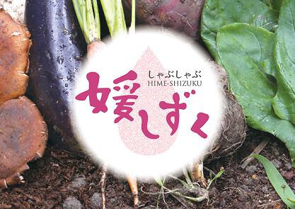 しゃぶしゃぶ媛しずく　アリオ八尾店の画像