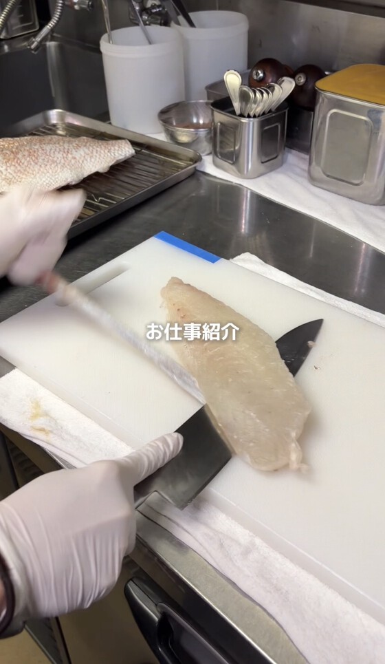 お仕事紹介