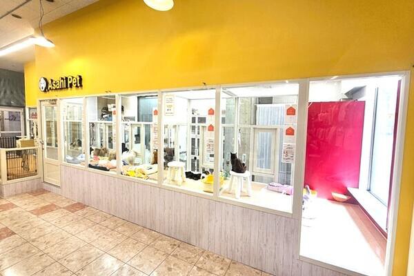 アサヒペット都築店 ペットショップの内装・外観画像