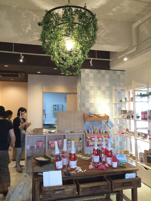 Healing forest SHURO　美浜店 リラクゼーションサロンの内装・外観画像