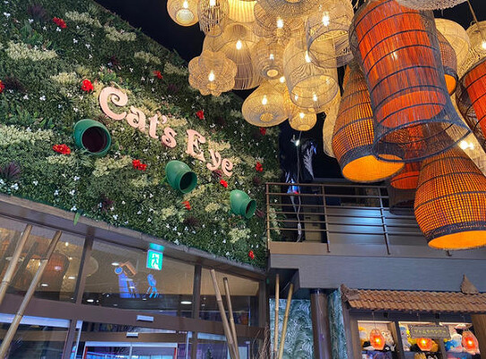 キャッツアイ恵庭店 ゲーム・カラオケの内装・外観画像