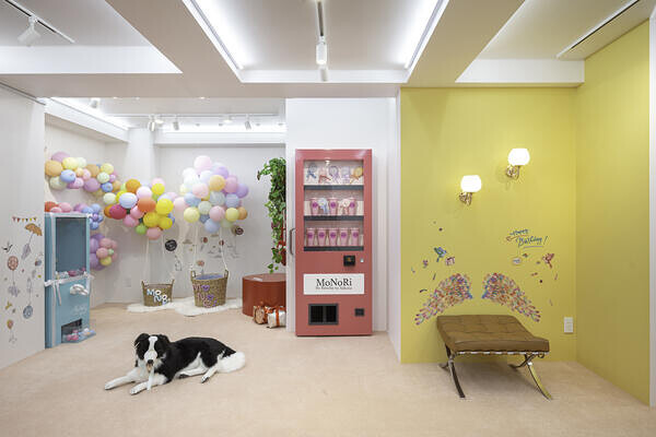 MoNoRi by REOCHE RU SAKURA トリミングサロン＆ドッグフォトスタジオの内装・外観画像