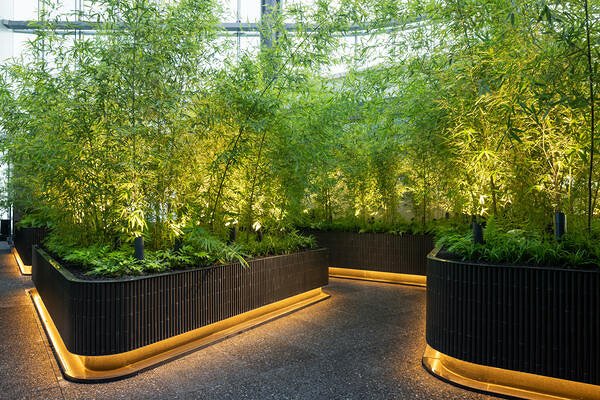 LUFTBAUM　28F　パート５ その他（飲食）の内装・外観画像