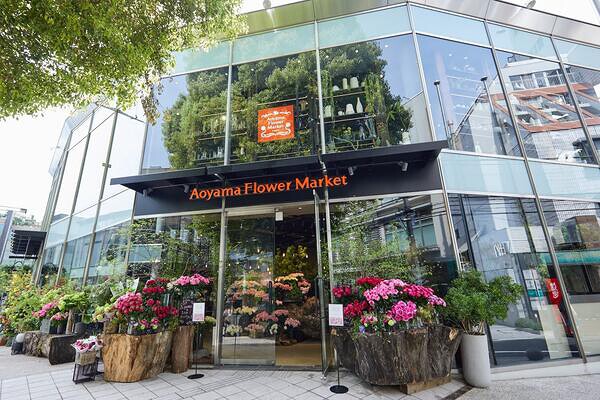 Aoyama Flower Market 南青山本店 花屋の内装・外観画像