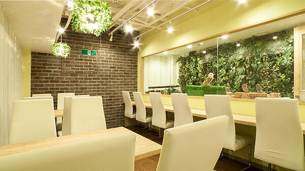 Cafe HOHO フクロウカフェの内装・外観画像