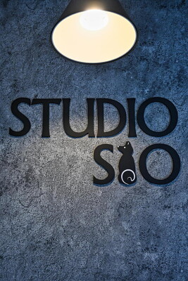 STUDIO SIO ペット撮影スタジオの内装・外観画像