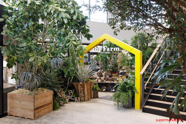 the Farm UNIVARSAL／FARMER’S KITCHEN グランベリーパーク店 レストラン・グリーンショップの内装・外観画像
