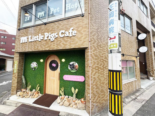 m Little Pigs Cafe ペットショップ・ペットサロンの内装・外観画像