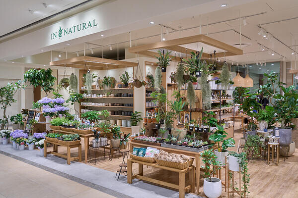 IN NATURAL　モザイクモール港北 アパレルの内装・外観画像
