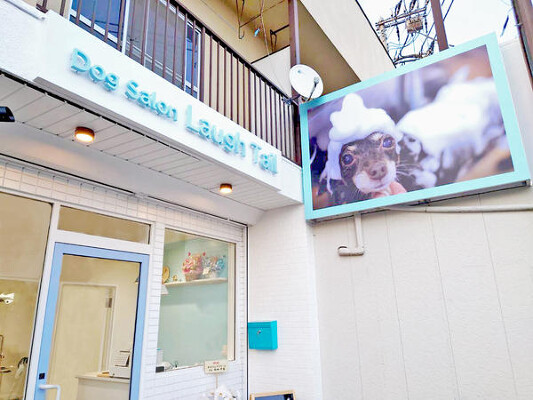 Dog Salon Laugh Tail ペットショップ・ペットサロンの内装・外観画像
