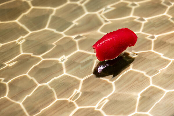 THE SAKAI TOKYO 寿司の内装・外観画像