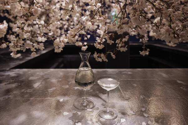 SAKEBARO NAKAMEGURO バーの内装・外観画像