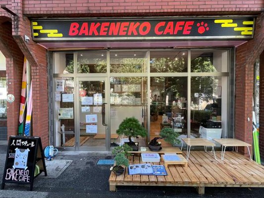 BAKENEKO CAFE 猫カフェの内装・外観画像