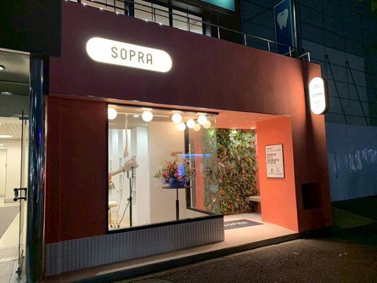 SOPRA 六本木店 ペットショップ・ペットサロンの内装・外観画像