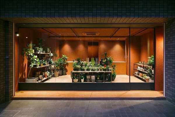 VOLTAR 観葉植物店の内装・外観画像