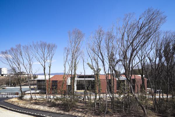 杜のひかりこども園 認定こども園の内装・外観画像