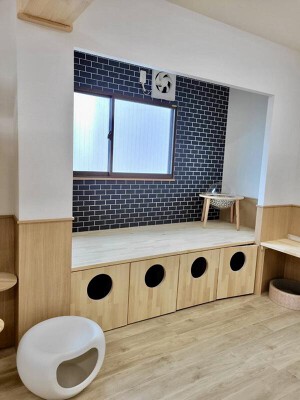 東淀川猫カフェ その他（サービス）の内装・外観画像