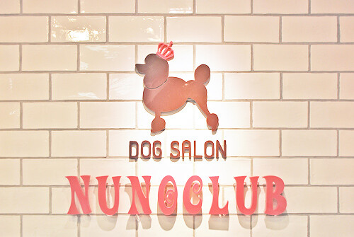 Dog Salon NUNOCLUB　- SUNSHOW - ドッグサロンの内装・外観画像