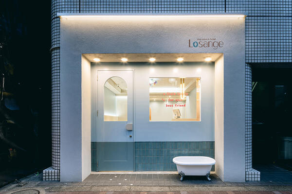 Losange トリミングサロン・ドックサロン・ドックホテルの内装・外観画像