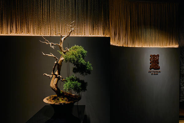 別天地 銀座 レストラン・ダイニングバー, 和食の内装・外観画像