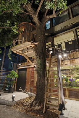 Fleur Universelle/Les Grands Arbres フラワーショップ＆カフェの内装・外観画像