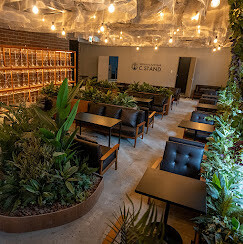 C-STAND仙台 バーの内装・外観画像