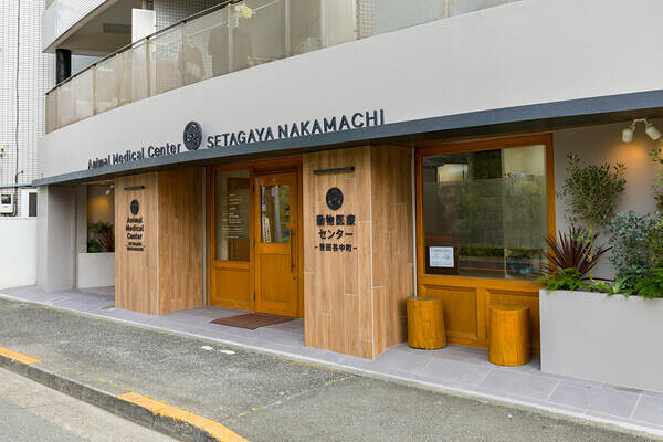動物医療センター世田谷中町 動物病院の内装・外観画像