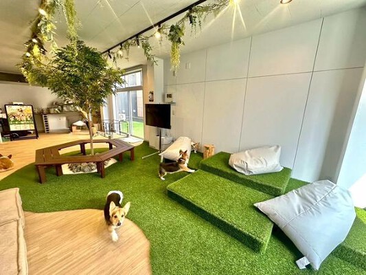 コーギーワールド  犬カフェの内装・外観画像