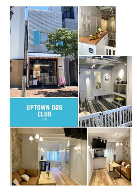 UPTOWN　DOG CLUB ペットショップ・ペットサロンの内装・外観画像