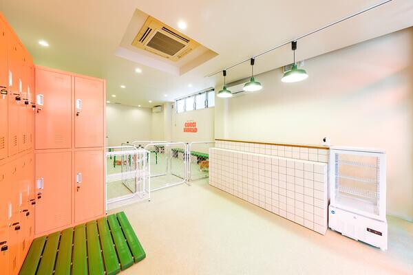 コーギーワールド2号店 犬カフェの内装・外観画像