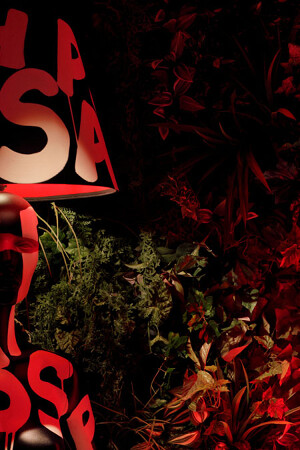 PASHA CLUB