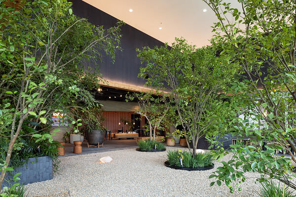 LUFTBAUM　28F　パート２