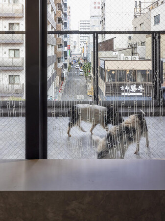 pignic浅草店
