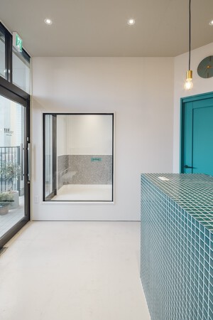 dog salon TECORE