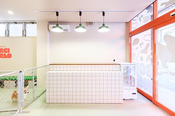 コーギーワールド2号店