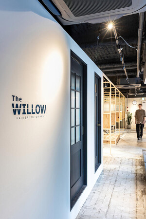 The WILLOW