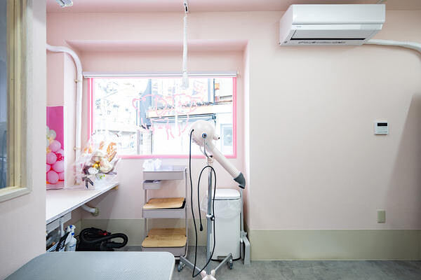 PET SALON REPOS