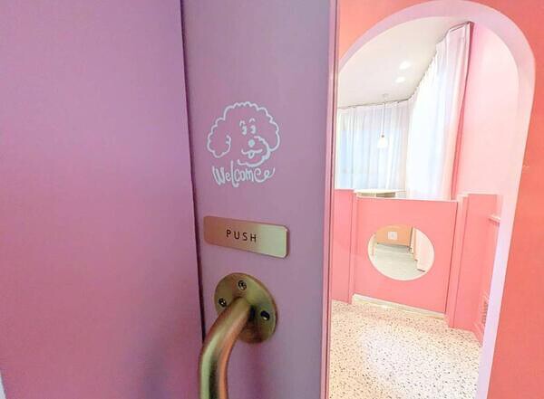 COLORER 世田谷店