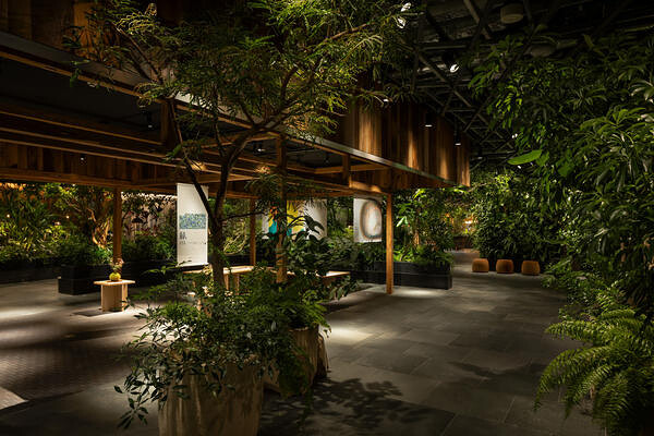 LUFTBAUM　28F パート１