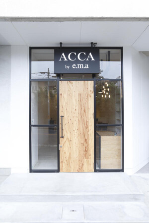 ACCA by e.m.a